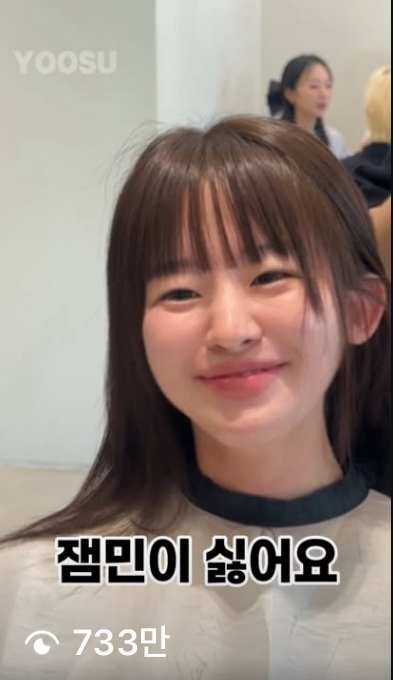 733만